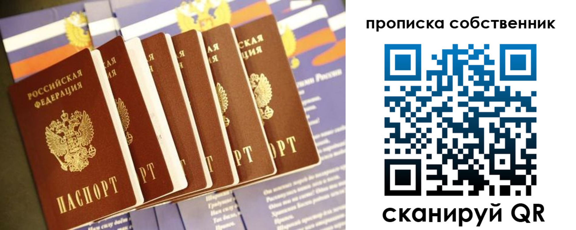 временная регистрация поиск в Новосибирской области